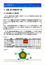 アウトプットイメージ(レポート)